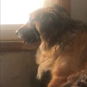 Meet your Posher, Leon